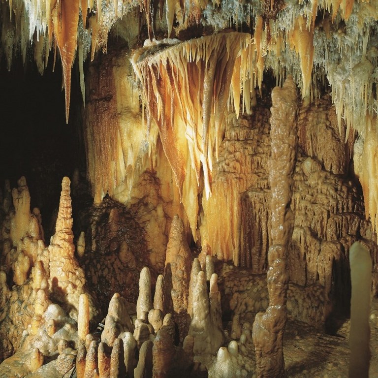 viaggi-in-puglia-biciletta-cicloutusimo-4-giorni-in-valle-d-itria-grotte-di-castellana