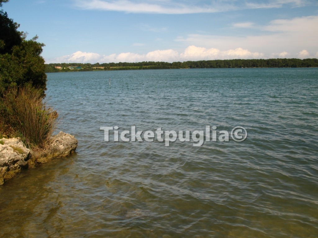 Laghi Alimini