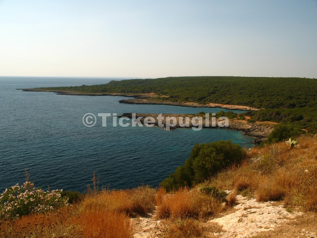 PORTO SELVAGGIO - NARDO'