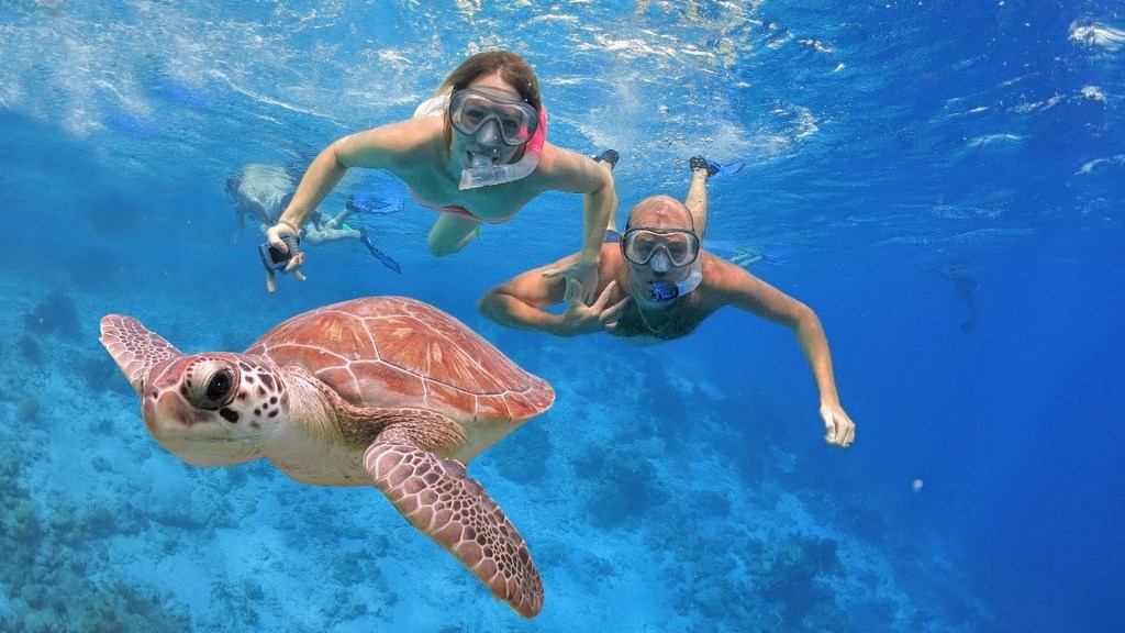 Carovigno: Snorkeling Nell' Area Marina Protetta Di Torre Guaceto