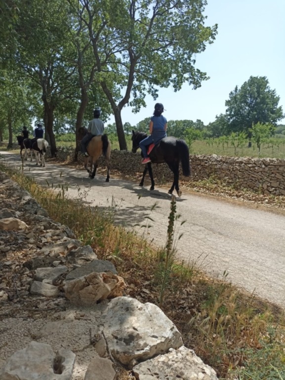 Corato: escursione a cavallo o in carrozza nel Parco Nazionale dell'Alta Murgia